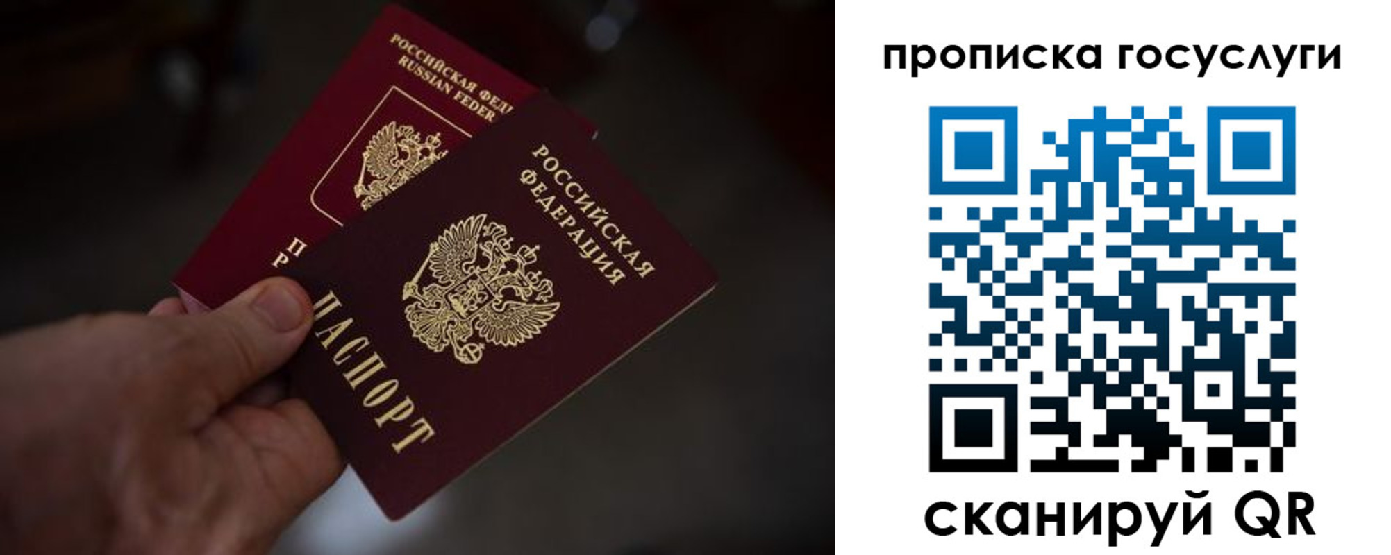 прописка ребенка в Светлом