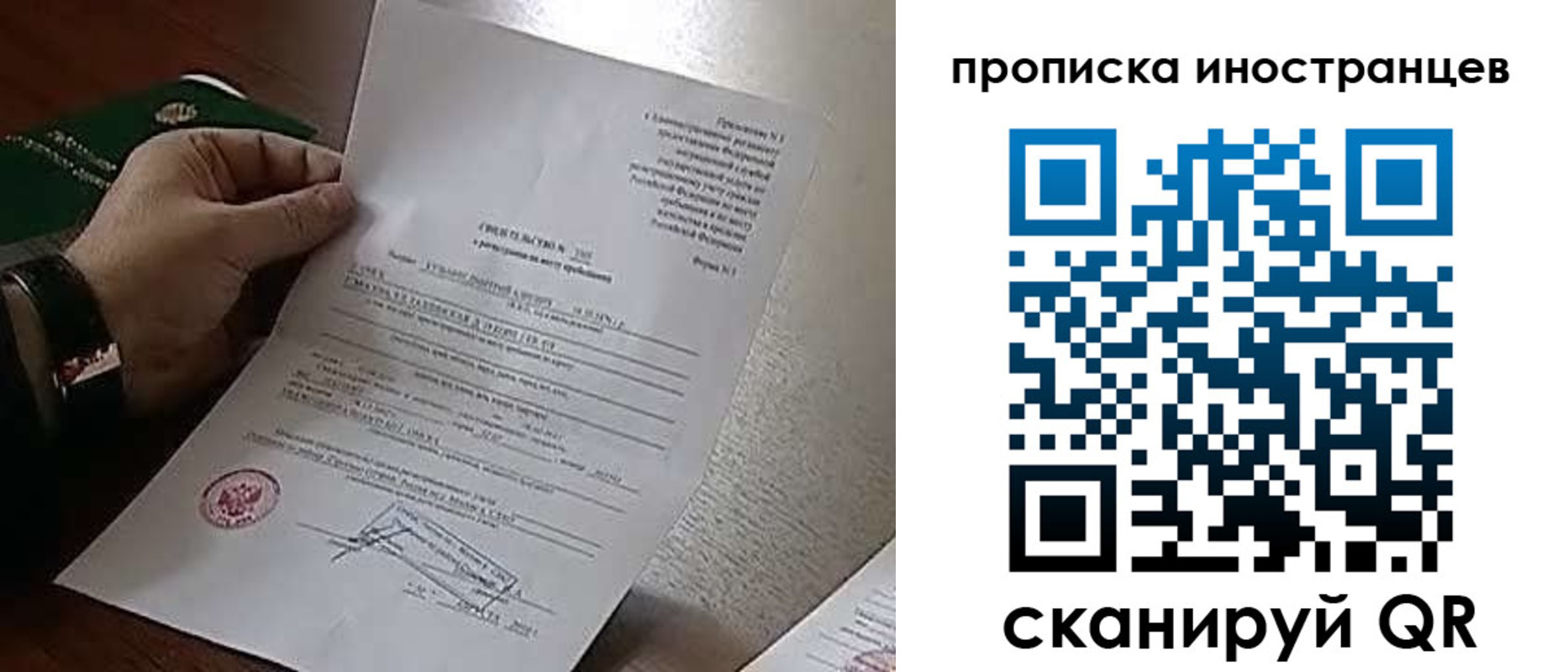 прописка поиск в Светлом